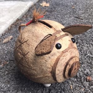 Handmade Coconut Pig Piggy Bank